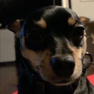 Meet your Posher, Byron